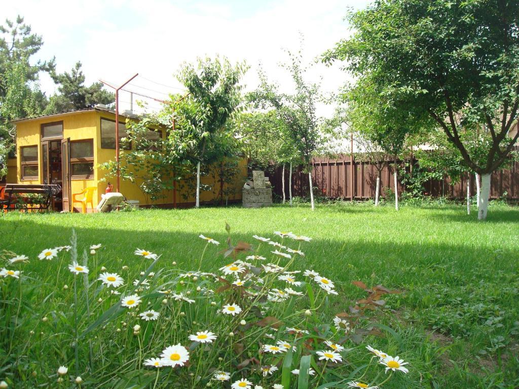 Pensiunea Casa Soarelui Eforie Nord Exterior foto