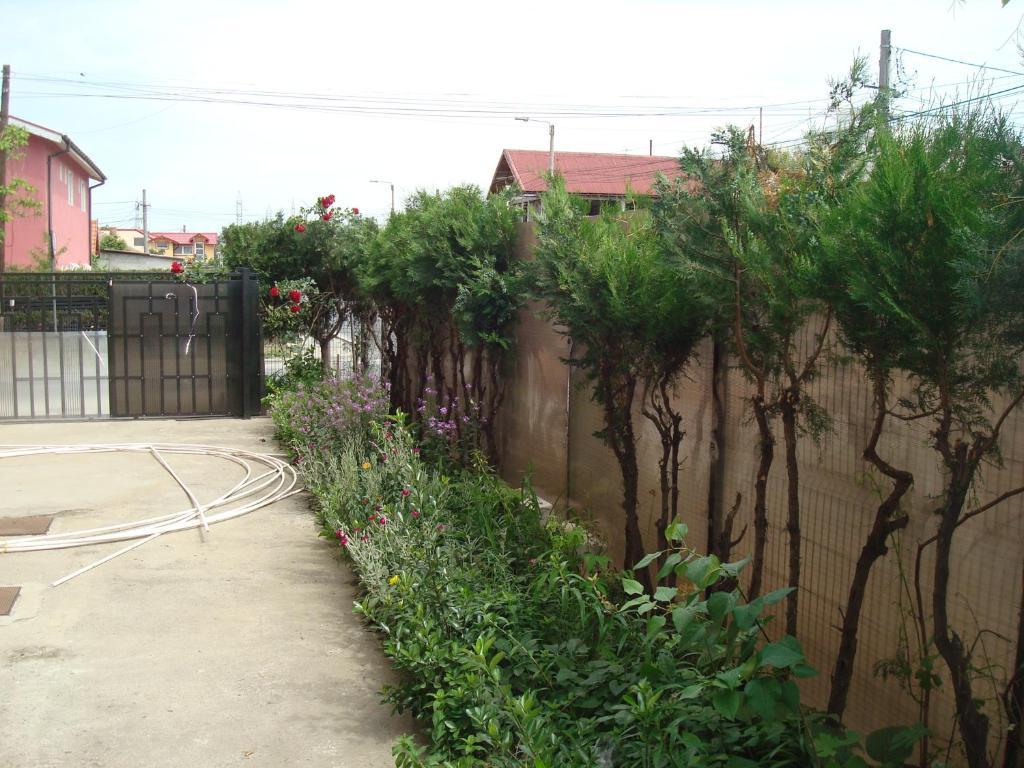 Pensiunea Casa Soarelui Eforie Nord Exterior foto